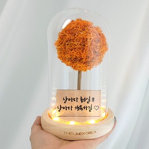 더라임코리아 LED 메시지 각인 스칸디아모스 유리돔 무드등 특별한 기념일 선물, 오렌지_폰트3