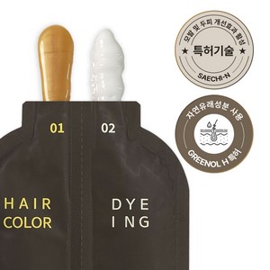 새치앤 프리미엄 원샷 블랙 커버 염색샴푸, 다크브라운, 1개, 150ml