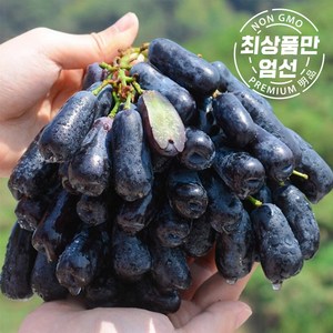 [과향가] 블랙사파이어 포도 고당도 프리미엄 천상의 맛, 1세트, 고당도 블랙사파이어 포도 1kg