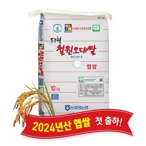 [당일도정] [동철원농협 직접운영] 2024년산 두루웰 철원오대 햅쌀, 10kg, 1개, 백미 10kg