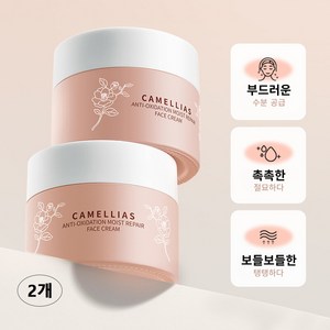 동백꽃 에센셜 스팟 케어 모이스처라이징 크 까멜리아 달팽이 주름개선 크림 검버섯크림 색소침착 기미없애는법, 2개, 50g