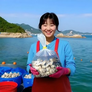 통영 생굴 최상급 당일수확 굴, 1개, 2kg