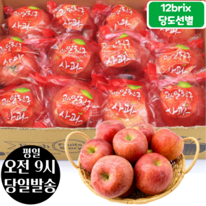 [오전8시 주문건 당일발송] 12브릭스 당도선별 세척사과 2kg (11~13입 소과), 1개