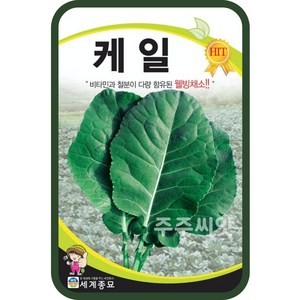 케일 씨앗 500립 샐러드 쌈 채소 kail seed, 1개