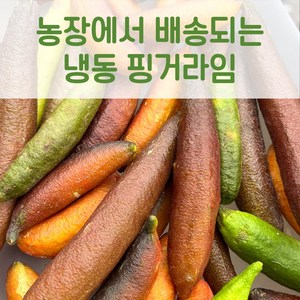 국내산 핑거라임, 1박스, 100g