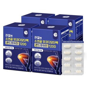 올바른 관절엔 콘드로이친 소연골 뮤코다당단백 1200, 4개, 60정