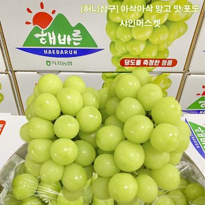 허니삼구 망고맛포도 고당도 당도보장 가정용 선물용 샤인머스켓 2KG내외, 2KG내외(3-5송이), 1박스