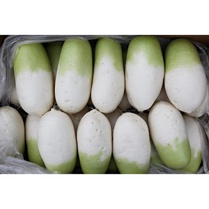 [대박농수산] 국내산 제주 월동무 세척무 깍두기 무 5kg 10kg, 3kg, 1박스