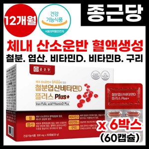 [종근당] 종근당 철분 영양제 혈액 생성 체내 산소 운반 도움 식 약 처 인증 종근당 철분 엽산 비타민d 플러스 구리 비타민b 골다공증 예방 뼈건강 종근당 철분제 추천, 6박스, 60정