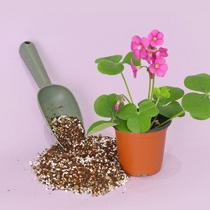 마이플랜트 야생화 맞춤 배합토 분갈이흙, 5L, 1개