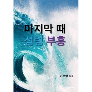 마지막 때 성령 부흥 : 휴거 시대와 대 부흥, BOOKK(부크크), 이수영 저