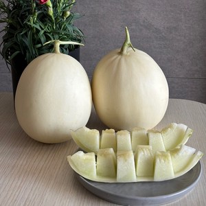 [신선한하루] 프리미엄 수신메론 설향메론 홈런스타 멜론, 3kg, 1개