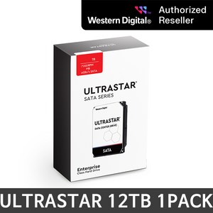 웨스턴디지털 Ultasta DC HC520 HDD, US7SAM120, 12TB