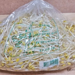 5분마켓 오윤길 일자콩나물 콩나물불고기 1KG, 1개