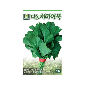 다농치마아욱 씨앗 10g 춘추재배 다수확 가능, 1개