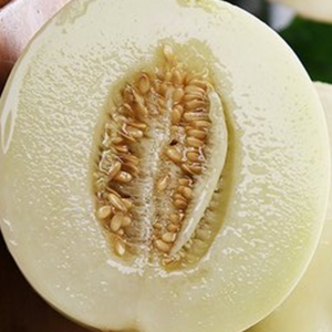 [핵시원청량주의보] 수신메론 수신멜론 선착순판매 단골만2천명, 1박스, 5kg