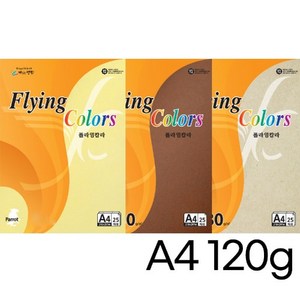 삼원특수지 플라잉칼라 A4 120g 20매, E33.물색