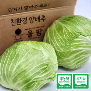 [울팜] 아삭 달달 국내산 친환경 양배추 1kg(1통) / 2kg(2통) / 3kg(2~3통) / 5kg(3~5통) 무농약 유기농 제주 무안 밀양, 1박스, 2kg