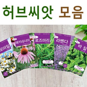 살아있는 허브 씨앗 모음 허브씨 로즈마리 레몬밤 바질 딜 카모마일 라벤다 민트 타임 마조람 세이지 챠빌 코리안더 고수 루 히솝 스테비아 차이브 에키네시아 야생 종자, R- 루 x 1개, 1개