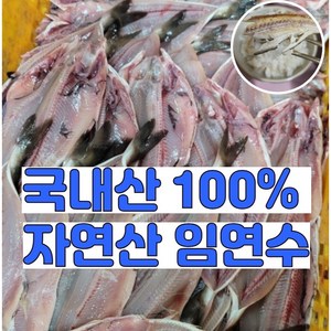 [특등급] 굽기만 하면 백반집 퀄리티! 손질된 초간편 동해안 자연산 반건조 임연수 구이용, 3세트, 5미 500g 내외