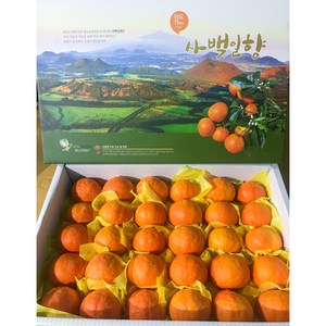 제주 카라향 선물용 5kg 10kg 고당도 서귀포 봄 귤 세진농원 사백일향, 사백일향(선물용) 5kg, 1개