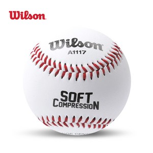 윌슨 야구공 WTA1117 소프트 안전야구공 연식구 티볼, 1개