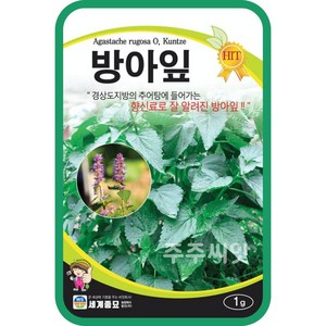 방아잎 씨앗 1g 배초향 방아풀 배향초 종자 agastache ugosa seed, 1개