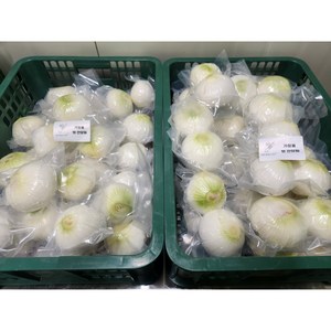 [1입씩 개별 진공포장] 신선하고 단단한 25년 국내산 가정용 햇 깐양파(대특), 1개, 대(가정용)1kg