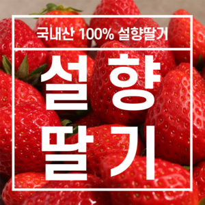 내고향농수산 제철 설향 딸기 담양 합천 고령딸기 특사이즈 1kg 2kg