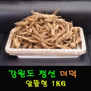 더덕/강원도 정선/고랭지 더덕/알뜰형(중급품) 1kg
