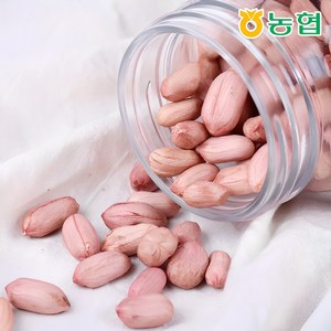 국내산 고창 대성 농협 땅콩, 1개, 생알1kg