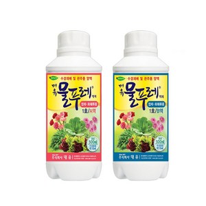대유 물푸레 1호, 3.물푸레 1호 A+B 세트 (엽채화훼), 1개