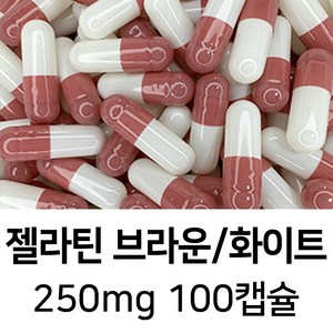 라이프건강 식약청허가 젤라틴 공캡슐(250mg 브라운/화이트) 100캡슐, 1개