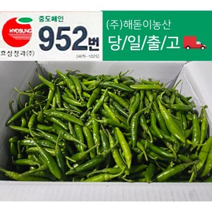 해돋이농산 국내산 청양고추 매운고추 못난이고추 1kg 2kg 3kg 5kg 10kg(반홍), 1개