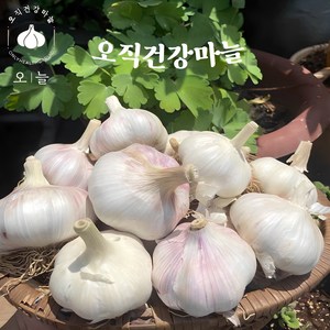 국내산 안깐마늘 대서통마늘 1kg / 3kg, 대서마늘 3kg, 1개