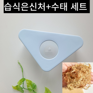 이지크레 도마뱀 습식 은신처 크레스티드 게코 산란통, 1개, 블루