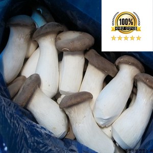 (기찬드림) 국내산 신선 못난이 새송이버섯 상 2kg, 1개, 못난이새송이 2kg