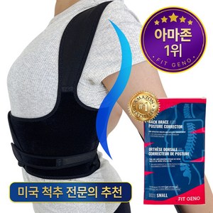 [미국 척추 전문의가 만든] FIT GENO 4중 지지대 바른 자세 교정 밴드, 1개