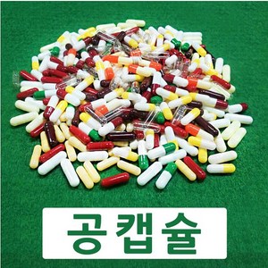 코인텍 빈알약 공캡슐 1000개1팩 100mg~500mg용량, 500mg, 1개