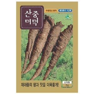 민속채소 씨앗] 더덕 산중 더덕 3g, 1개