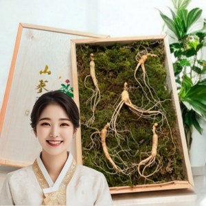 만항재산삼 6년 8년 못난이 산양삼 산삼 산양산삼 장뇌삼, 20개, 3.5g