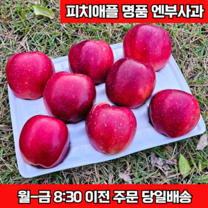 [12월 판매 마감] 한정판 피치애플 프리미엄 엔부사과 정품, 1박스, 1kg