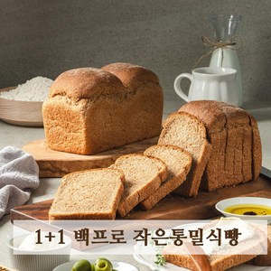 1+1 아침에 좋은빵 통밀100% 백프로 통밀빵 통밀식빵 식사빵 저당 저염 비건, 2개