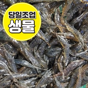 [흑새우] 국내산 민물새우 급냉 500g / 1kg 새뱅이 한국인의밥상 정림새우농장 줄새우 토하 김치양념 새우탕 새우깡, 1개, 급냉) 검정줄새우 1kg