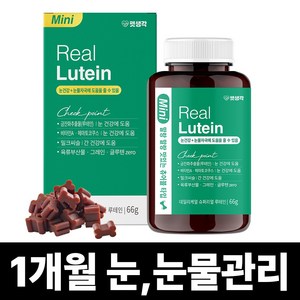 펫생각 리얼 루테인 강아지 눈 눈물 자국 영양제 보조제 백내장 녹내장 예방 눈노화 시력저하 66g, 1박스