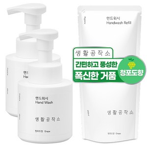 생활공작소 핸드워시 청포도향 용기 250ML 2개 + 리필 200ML 2개, 1세트, 900ml