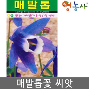 매발톱씨앗 500립, 1개