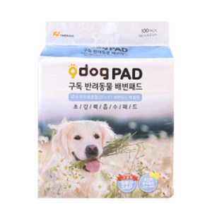 구독 배변패드 100매X4개(초강력 흡수), 1개, 100개입