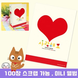 앙똘로지 100미니앨범-사랑해요[케이스포함] 앨범