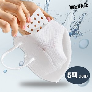 [Wellkit] 웰킷 촉촉 가습마스크 비행기 기내용 휴대용 가습기 비염 편도선 감기 수면마스크, 화이트(성인용), 5개, 2매입